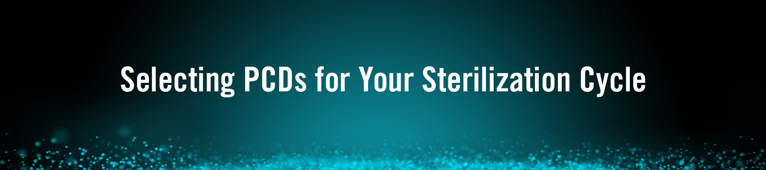 19-LP-Header-Image-R05 (1)